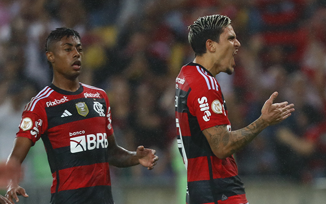 Bruno Henrique e Pedro / Divulgação