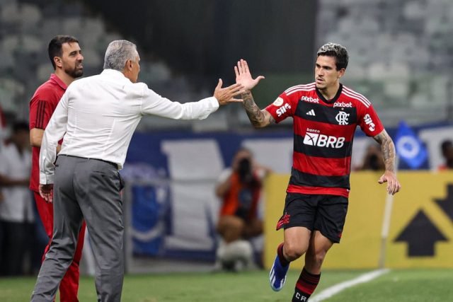 Mari Zanella :: Botafogo :: Player Profile 