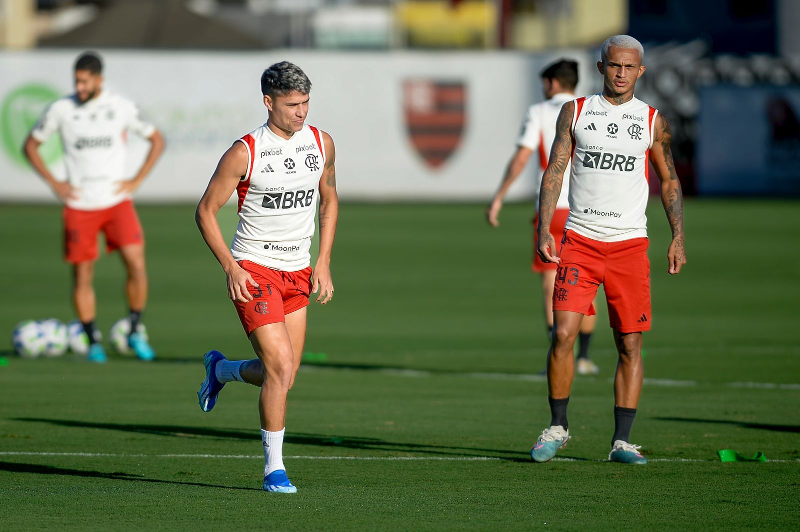 FLAMENGO CHEGA AO FINAL DO BRASILEIRÃO DEFENDENDO BOM RETROSPECTO NA TEMPORADA