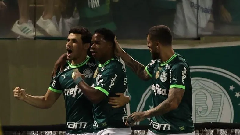 Palmeiras / Divulgação