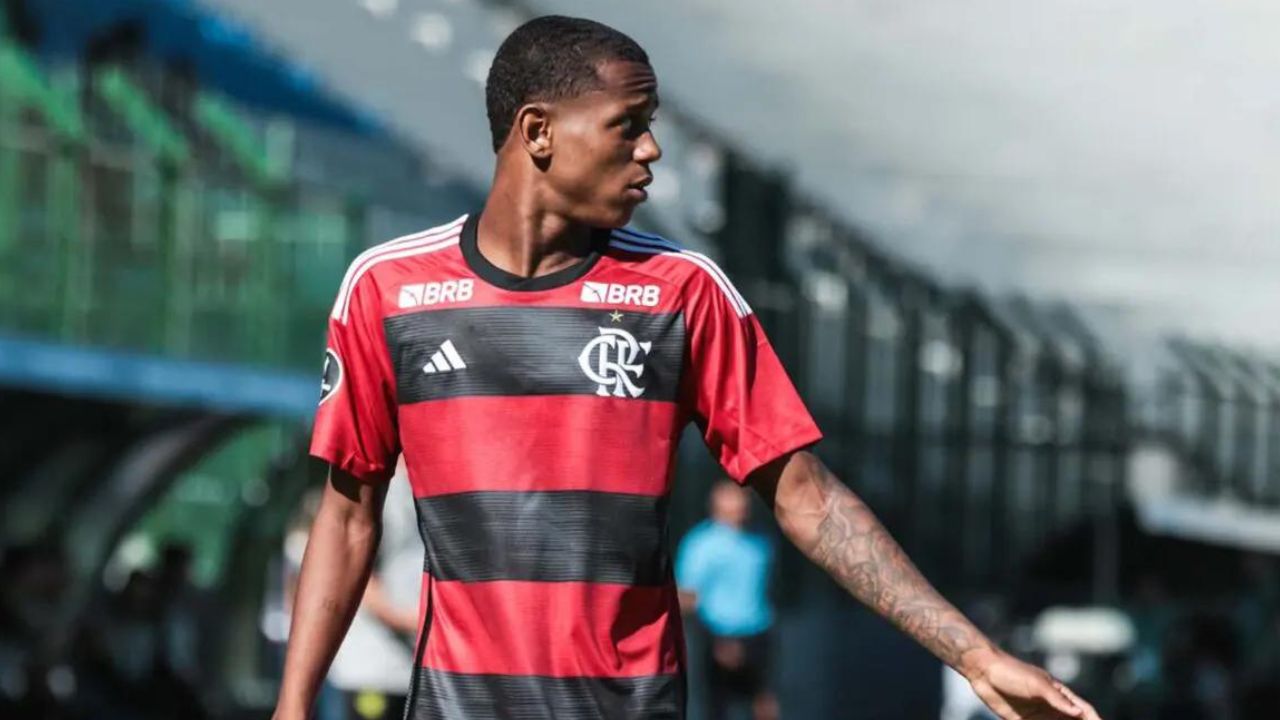 Flamengo perde importante jogador para final decisiva (Reprodução/ Flamengo)