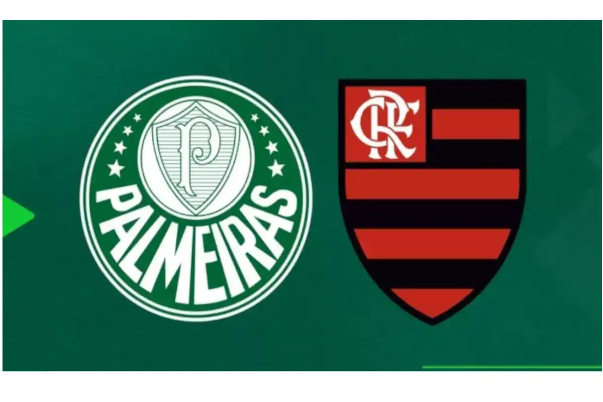 ACOMPANHE AO VIVO - PALMEIRAS X FLAMENGO - ALLIANZ PARQUE- BRASILEIRÃO 2024