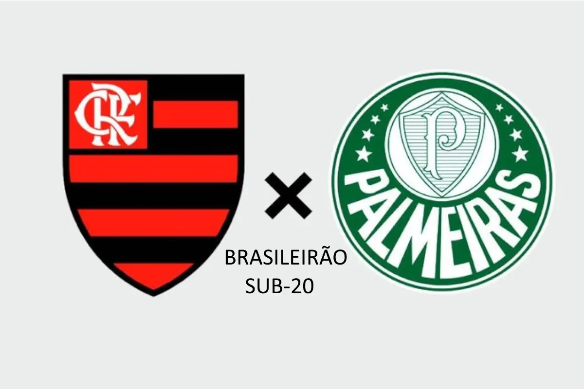 ASSISTA AO VIVO (COM IMAGENS)- FLAMENGO X PALMEIRAS- BRASILEIRÃO SUB 20