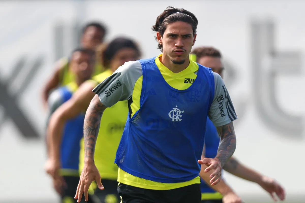 Pedro era a esperança de gols do Flamengo ( Foto/Flamengo) 