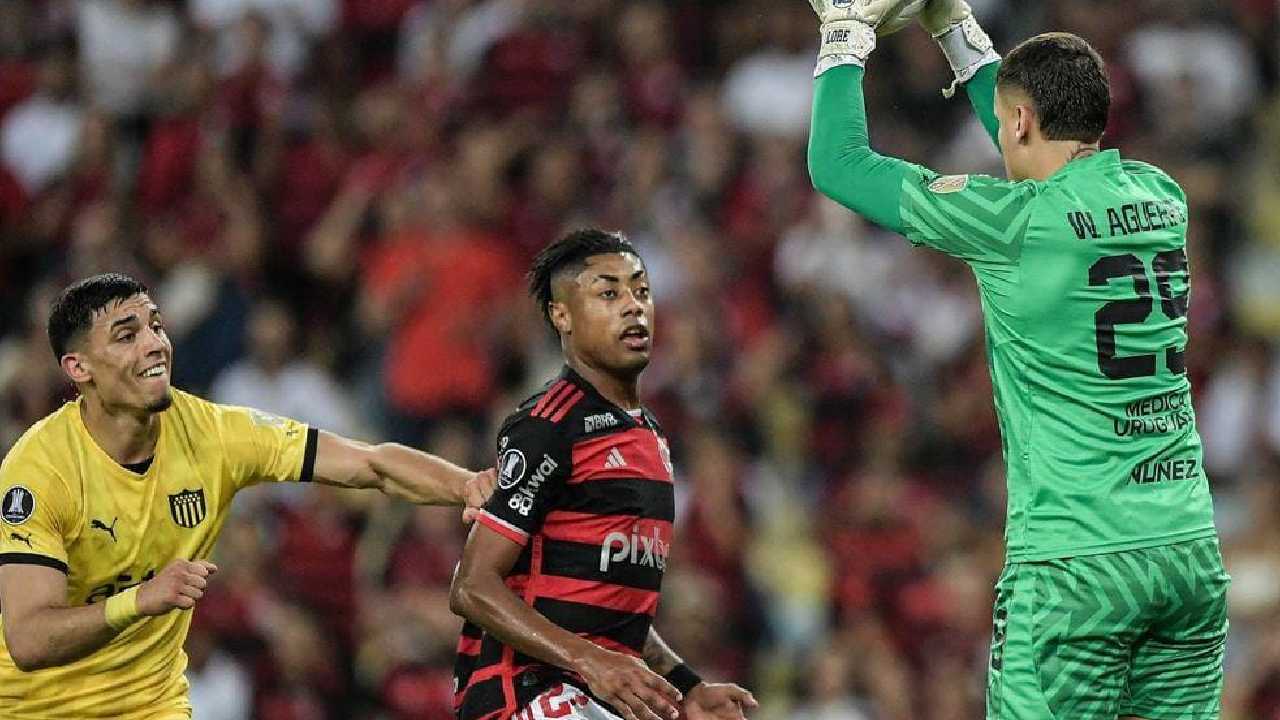 Foto: Reprodução/ Flamengo