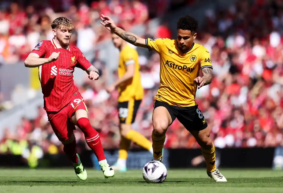 João Gomes, ex-Flamengo, é titular, mas Wolves é derrotado pelo líder Liverpool na Premier League - Foto: Reprodução/X João Gomes